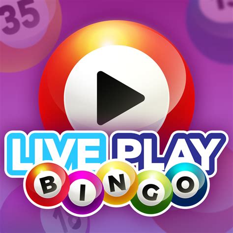 bingo live